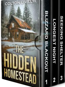 Hidden Homestead