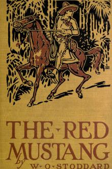 The Red Mustang by William O. Stoddard