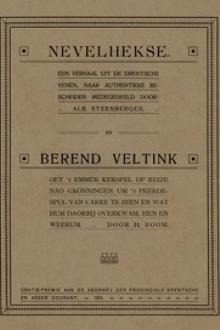 Berend Veltink by Harm Boom