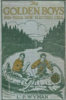 The Golden Boys and Their New Electric Cell by Levi Parker Wyman