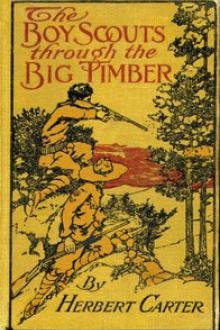 The Boy Scouts Through the Big Timber by active 1909-1917 Carter Herbert