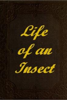 The Life of an Insect by Unknown
