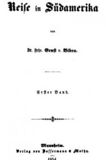 Reise in Südamerika by Freiherr von Bibra Ernst