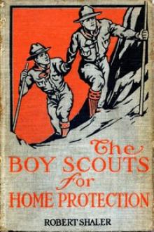 The Boy Scouts for Home Protection by Robert Shaler