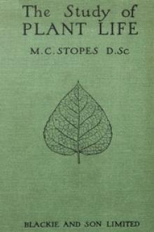 The Study of Plant Life by M. C. Stopes