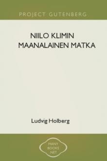 Niilo Klimin maanalainen matka by Ludvig Holberg