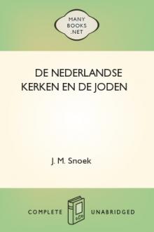 De Nederlandse kerken en de joden by Johan Martinus Snoek