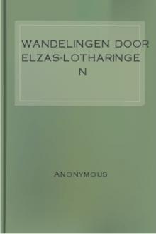 Wandelingen door Elzas-Lotharingen by Anonymous