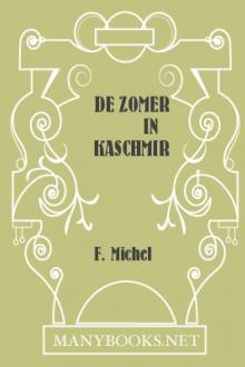 De zomer in Kaschmir by F. Michel