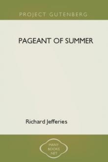 Pageant of Summer by Richard Jefferies