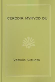 Cerddi'r Mynydd Du by Unknown
