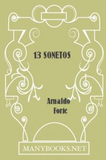 13 Sonetos by Arnaldo Forte