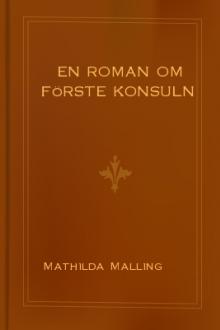 En roman om förste konsuln by Mathilda Malling