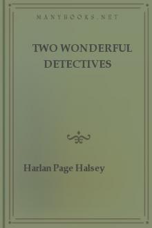 Two Wonderful Detectives by Harlan Page Halsey