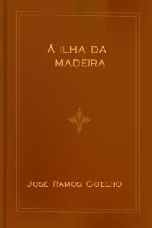 Á Ilha da Madeira by José Ramos Coelho