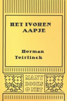 Het ivoren aapje by Herman Teirlinck