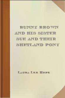 Bunny Brown and His Sister Sue and Their Shetland Pony by Laura Lee Hope