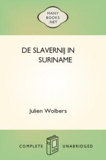 De slavernij in Suriname by Julien Wolbers