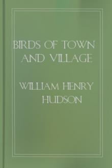 Birds of Town and Village by W. H. Hudson