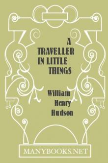 A Traveller in Little Things by W. H. Hudson