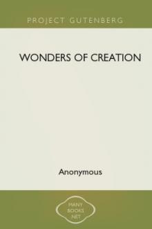 Wonders of Creation by Anonymous