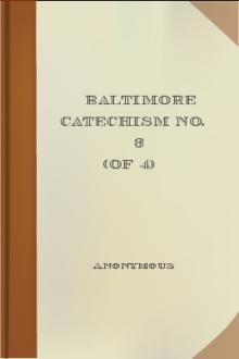 Baltimore Catechism No. 3 (of 4) by Anonymous