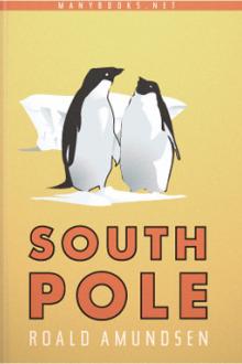 The South Pole by Roald Amundsen