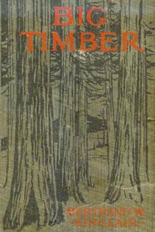 Big Timber by Bertrand W. Sinclair