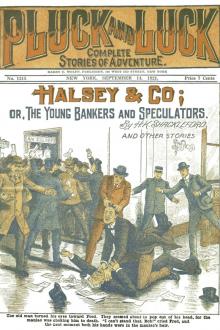 Halsey & Co. by Harvey King Shackleford