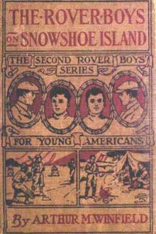 The Rover Boys on Snowshoe Island by Edward Stratemeyer