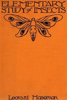 An Elementary Study of Insects by Leonard Haseman