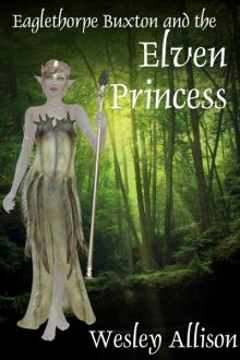 Eaglethorpe Buxton and the Elven Princess by Wesley Allison
