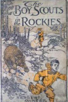 The Boy Scouts in the Rockies by active 1909-1917 Carter Herbert