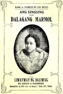 Ang Singsing nang Dalagang Marmol by Isabelo de los Reyes